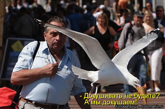 Котоматрица: - Докушивать не будите? А мы докушаем!