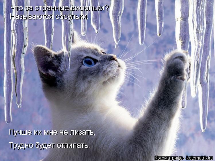 Котоматрица: Что за странные висюльки? Что за странные висюльки? Называются сосульки. Лучше их мне не лизать, Трудно будет отлипать.