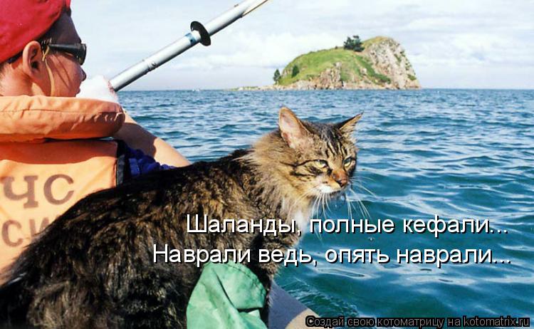 Шаланды, полные кефали... Наврали ведь, опять наврали...... Котоматрица: Шаланды, полные кефали... Наврали ведь, опять наврали...