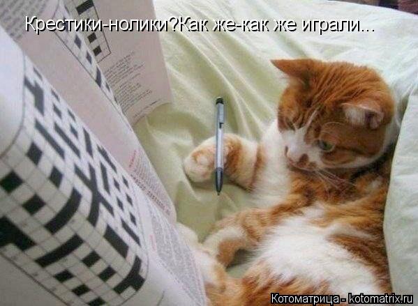 Котоматрица: Крестики-нолики?Как же-как же играли...