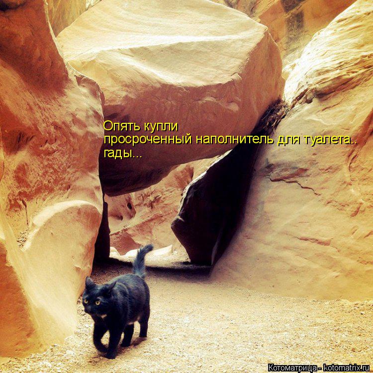 Котоматрица: Опять купли просроченный наполнитель для туалета.. гады...