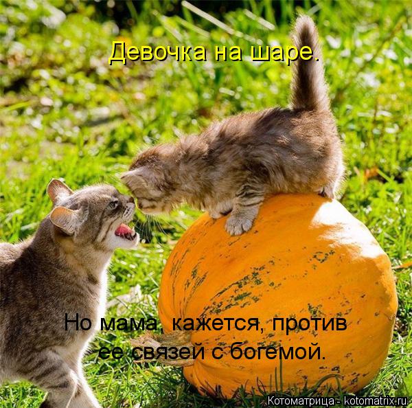 Котоматрица: Девочка на шаре. Но мама, кажется, против ее связей с богемой.