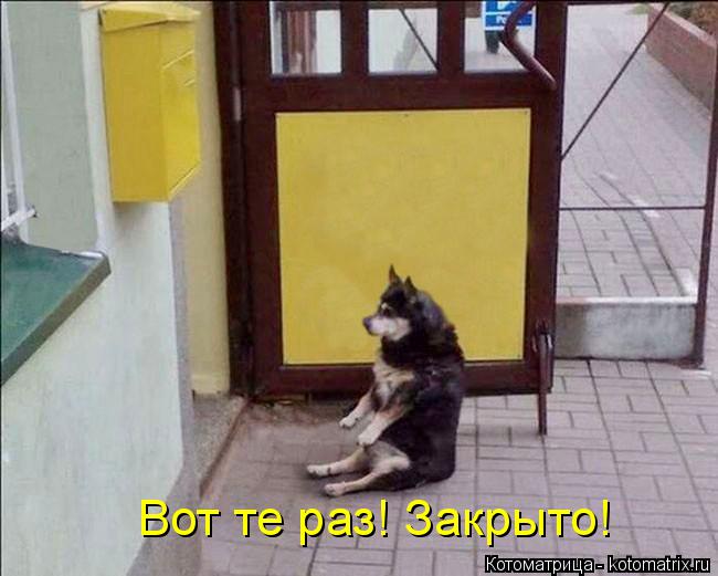 Котоматрица: Вот те раз! Закрыто!
