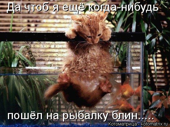 Котоматрица: Да чтоб я ещё когда-нибудь пошёл на рыбалку блин.....