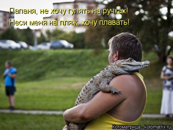 Папаня, не хочу гулять на ручках! Неси меня на пляж, хочу плавать!... Котоматрица: Папаня, не хочу гулять на ручках! Неси меня на пляж, хочу плавать!