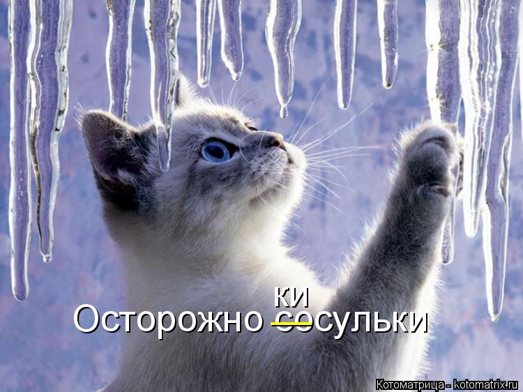 Осторожно сосульки __ ки... Котоматрица: Осторожно сосульки __ ки