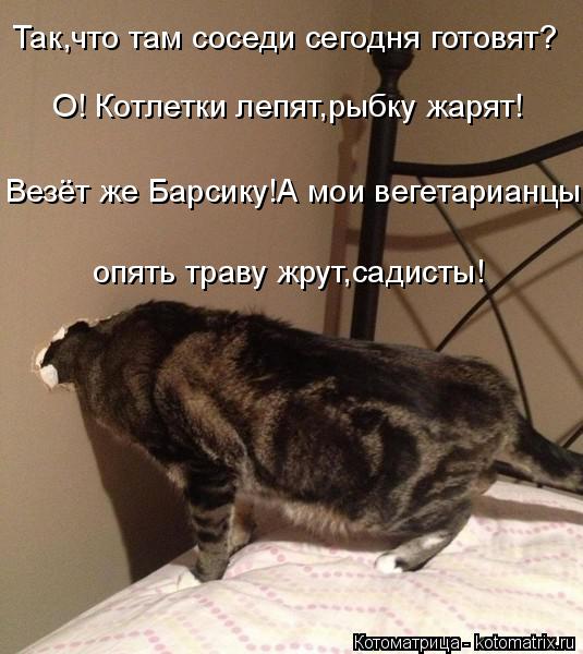Котоматрица: опять траву жрут,садисты! Так,что там соседи сегодня готовят? О! Котлетки лепят,рыбку жарят!  Везёт же Барсику!А мои вегетарианцы