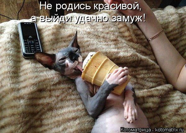 Котоматрица: Не родись красивой, а выйди удачно замуж!