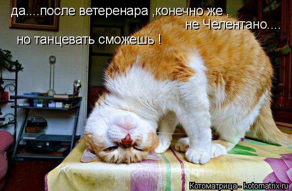 да....после ветеренара ,конечно же , не Челентано.... но танцевать сможешь !... Котоматрица: да....после ветеренара ,конечно же , не Челентано.... но танцевать сможешь !