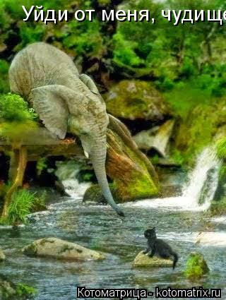 Котоматрица: Уйди от меня, чудище!