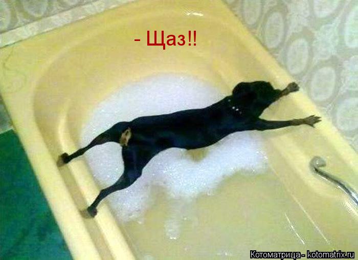 - Щаз!!... Котоматрица: - Щаз!!