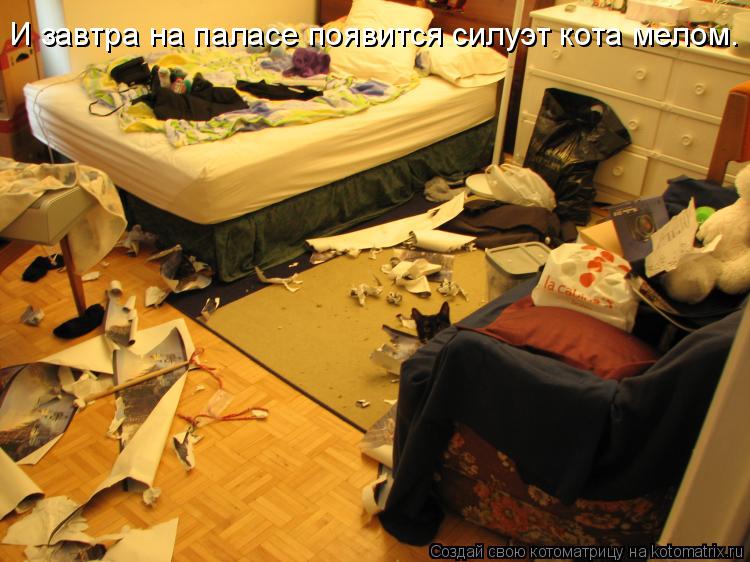 И завтра на паласе появится силуэт кота мелом.... Котоматрица: И завтра на паласе появится силуэт кота мелом.