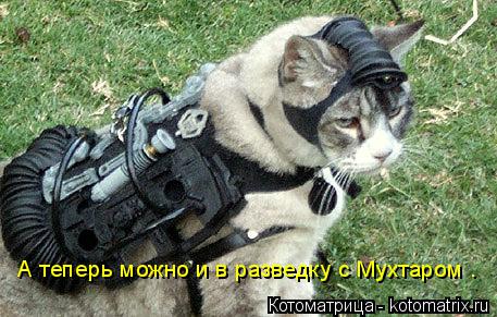 Котоматрица: А теперь можно и в разведку с Мухтаром .