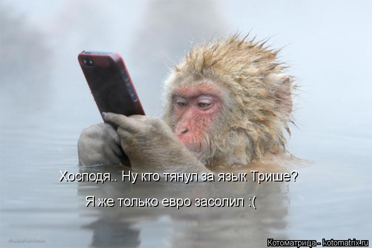 Котоматрица: Хосподя.. Ну кто тянул за язык Трише? Я же только евро засолил :(