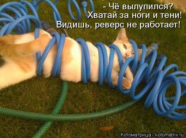 - Чё вылупился? Хватай за ноги и тени! Видишь, реверс не работает!... Котоматрица: - Чё вылупился? Хватай за ноги и тени! Видишь, реверс не работает!