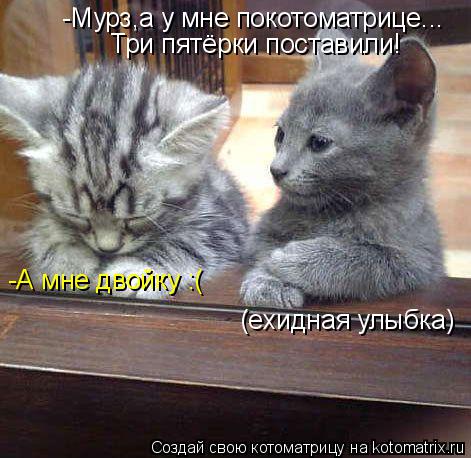 Котоматрица: -Мурз,а у мне покотоматрице... Три пятёрки поставили! (ехидная улыбка) -А мне двойку :(