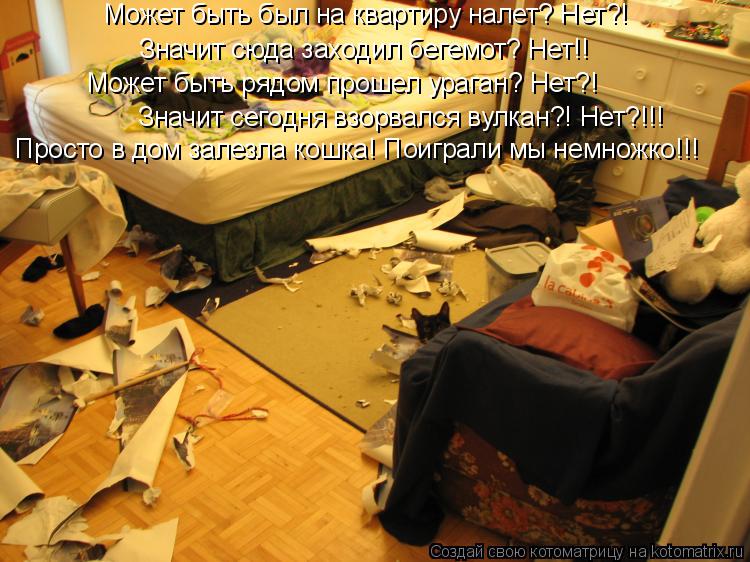 Котоматрица: Может быть был на квартиру налет? Нет?! Значит сюда заходил бегемот? Нет!! Может быть рядом прошел ураган? Нет?! Значит сегодня взорвался вулк