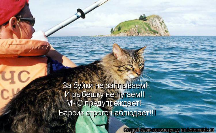 Котоматрица: За буйки не заплываем! И рыбешку не пугаем!! МЧС предупреждает!  Барсик строго наблюдает!!!