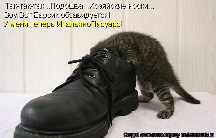 Так-так-так...Подошва...Хозяйские носки... Воу!Вот Барсик обзавидуется! У меня теперь ИтальяноПисуаро... Котоматрица: Так-так-так...Подошва...Хозяйские носки... Воу!Вот Барсик обзавидуется! У меня теперь ИтальяноПисуаро!