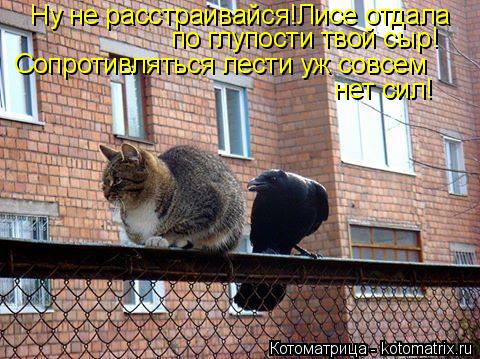 Котоматрица: Ну не расстраивайся!Лисе отдала по глупости твой сыр! Сопротивляться лести уж совсем  нет сил!