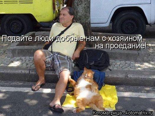 Котоматрица: Подайте люди добрые нам с хозяином на проедание!