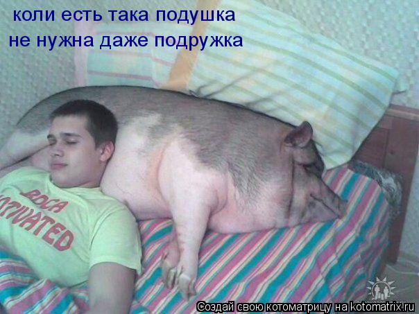 коли есть така подушка не нужна даже подружка... Котоматрица: коли есть така подушка не нужна даже подружка