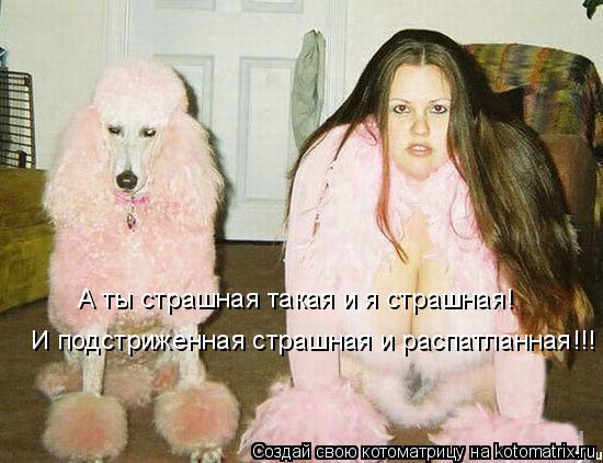 А ты страшная такая и я страшная! И подстриженная страшная и распатланная!!!... Котоматрица: А ты страшная такая и я страшная! И подстриженная страшная и распатланная!!!