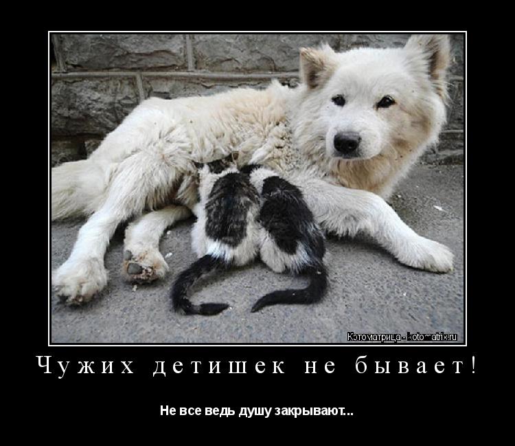 Котоматрица: Чужих детишек не бывает! Не все ведь душу закрывают...
