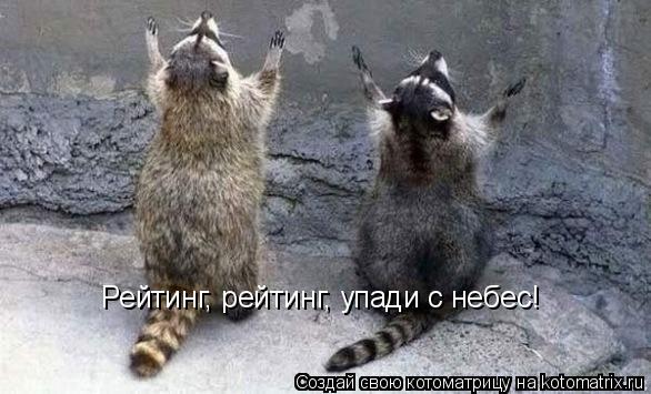 Котоматрица: Рейтинг, рейтинг, упади с небес!