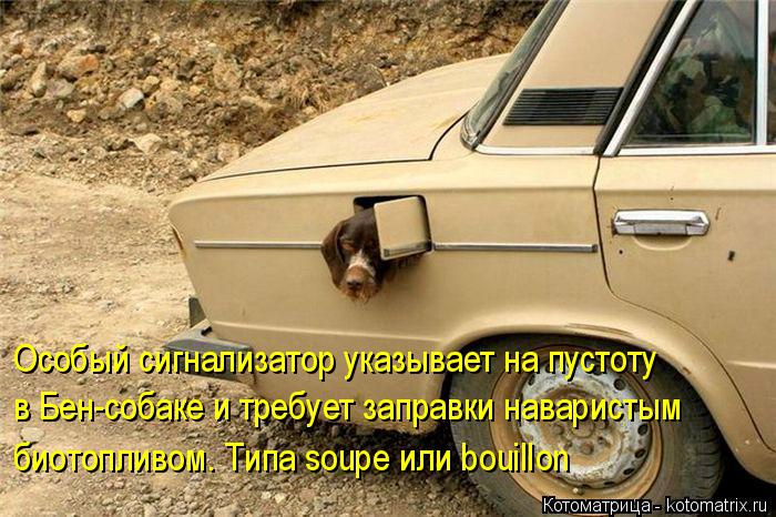 Особый сигнализатор указывает на пустоту в Бен-собаке и требует заправки наваристым биотопливом. Ти... Котоматрица: Особый сигнализатор указывает на пустоту в Бен-собаке и требует заправки наваристым биотопливом. Типа soupe или bouillon