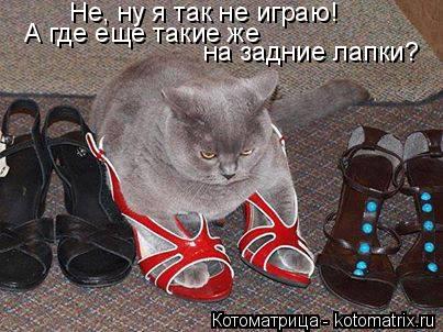 Не, ну я так не играю! А где еще такие же на задние лапки?... Котоматрица: Не, ну я так не играю! А где еще такие же на задние лапки?