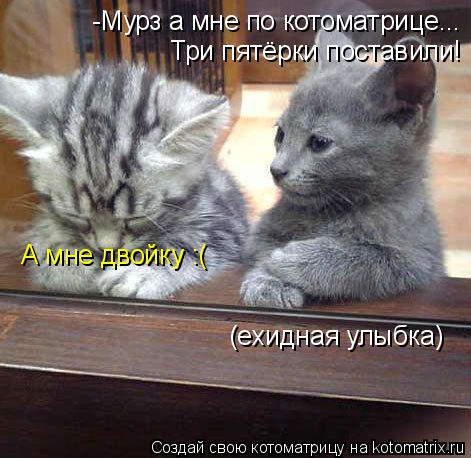Котоматрица: -Мурз а мне по котоматрице... Три пятёрки поставили! А мне двойку :( (ехидная улыбка)