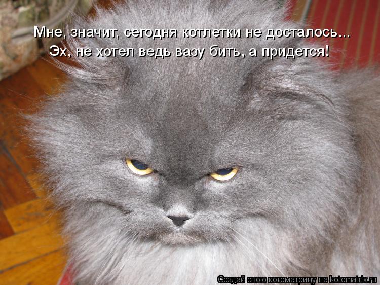 Котоматрица: Мне, значит, сегодня котлетки не досталось... Эх, не хотел ведь вазу бить, а придется!