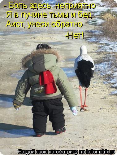 - Боль здесь, неприятно Я в пучине тьмы и бед Аист, унеси обратно -Нет!... Котоматрица: - Боль здесь, неприятно Я в пучине тьмы и бед Аист, унеси обратно -Нет!