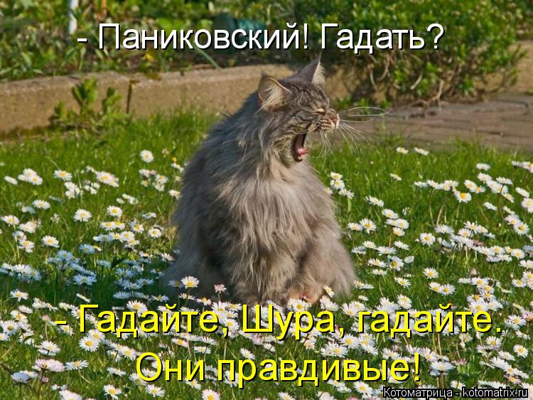 - Гадайте, Шура, гадайте. - Паниковский! Гадать? Они правдивые!... Котоматрица: - Гадайте, Шура, гадайте. - Паниковский! Гадать? Они правдивые!