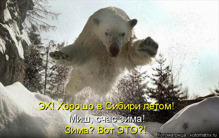Котоматрица: ЭХ! Хорошо в Сибири летом! Миш, счас зима! Зима? Вот ЭТО?!