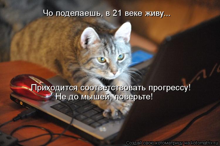 Чо поделаешь, в 21 веке живу... Приходится соответствовать прогрессу! Не до мышей, поверьте!... Котоматрица: Чо поделаешь, в 21 веке живу... Приходится соответствовать прогрессу! Не до мышей, поверьте!
