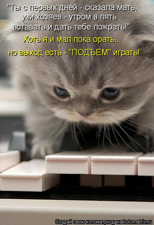 "Ты с первых дней - сказала мать, учи хозяев - утром в пять вставать и дать тебе пожрать!" Хоть я и м... Котоматрица: "Ты с первых дней - сказала мать, учи хозяев - утром в пять вставать и дать тебе пожрать!" Хоть я и мал пока орать... но выход есть - "ПОДЪЕМ" играт