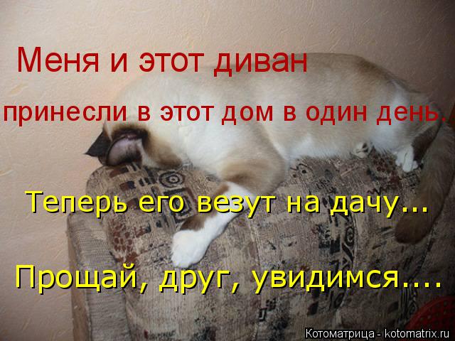 Меня и этот диван принесли в этот дом в один день. Теперь его везут на дачу... Прощай, друг, увидимс... Котоматрица: Меня и этот диван принесли в этот дом в один день. Теперь его везут на дачу... Прощай, друг, увидимся....