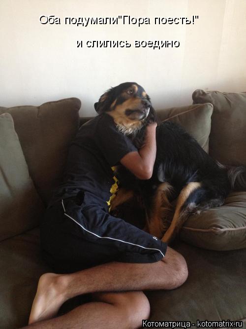 Оба подумали"Пора поесть!" и слились воедино... Котоматрица: Оба подумали"Пора поесть!" и слились воедино