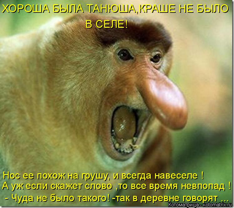 В СЕЛЕ! А уж если скажет слово ,то все время невпопад ! - Чуда не было такого! -так в деревне говоря... Котоматрица: В СЕЛЕ! А уж если скажет слово ,то все время невпопад ! - Чуда не было такого! -так в деревне говорят ... Нос ее похож на грушу, и всегда навеселе