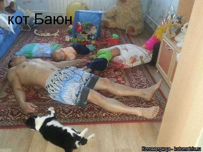 кот Баюн... Котоматрица: кот Баюн