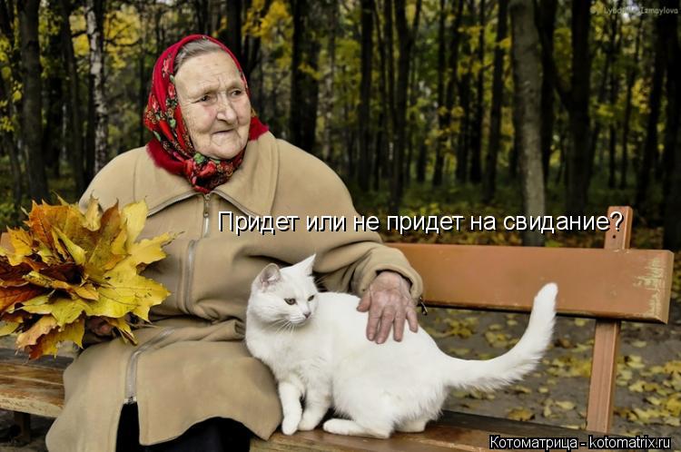 Придет или не придет на свидание?... Котоматрица: Придет или не придет на свидание?