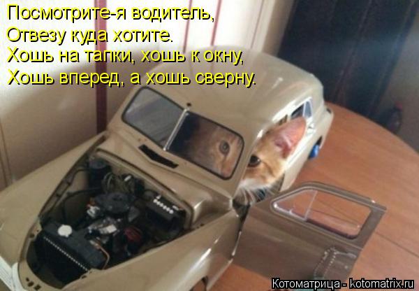 Посмотрите-я водитель, Отвезу куда хотите. Хошь на тапки, хошь к окну, Хошь вперед, а хошь сверну.... Котоматрица: Посмотрите-я водитель, Отвезу куда хотите. Хошь на тапки, хошь к окну, Хошь вперед, а хошь сверну.
