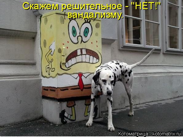 Скажем решительное - "НЕТ!" вандализму.... Котоматрица: Скажем решительное - "НЕТ!" вандализму.