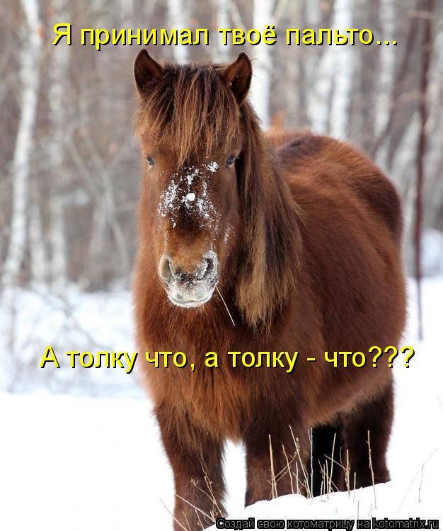 Я принимал твоё пальто... А толку что, а толку - что???... Котоматрица: Я принимал твоё пальто... А толку что, а толку - что???