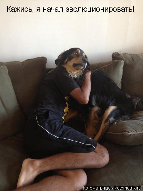 Кажись, я начал эволюционировать!... Котоматрица: Кажись, я начал эволюционировать!