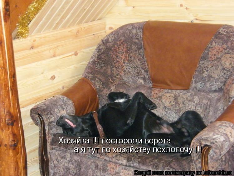 Хозяйка !!! посторожи ворота , а я тут по хозяйству похлопочу !!!... Котоматрица: Хозяйка !!! посторожи ворота , а я тут по хозяйству похлопочу !!!