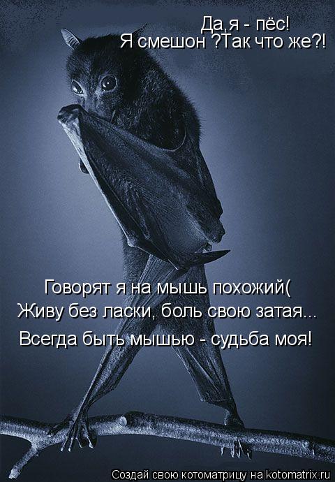 Да,я - пёс! Я смешон ?Так что же?! Говорят я на мышь похожий( Живу без ласки, боль свою затая... Всег... Котоматрица: Да,я - пёс! Я смешон ?Так что же?! Говорят я на мышь похожий( Живу без ласки, боль свою затая... Всегда быть мышью - судьба моя!