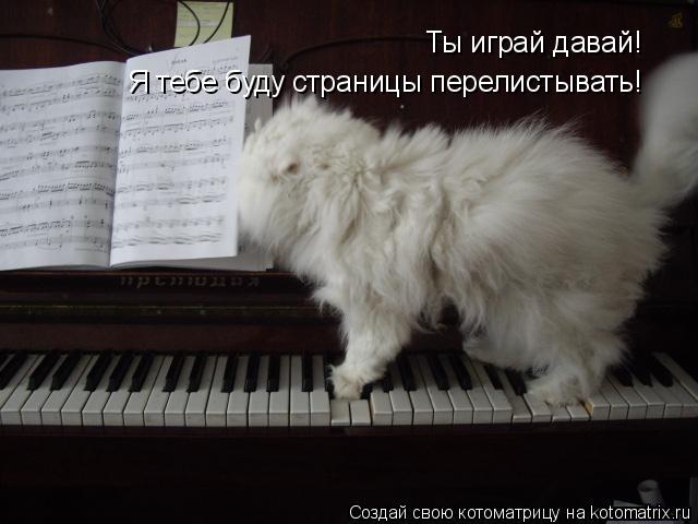 Котоматрица: Ты играй давай! Я тебе буду страницы перелистывать!